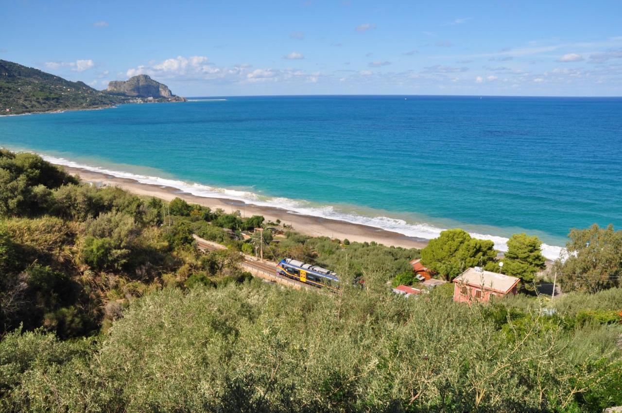 Sea Sound House Holiday home *